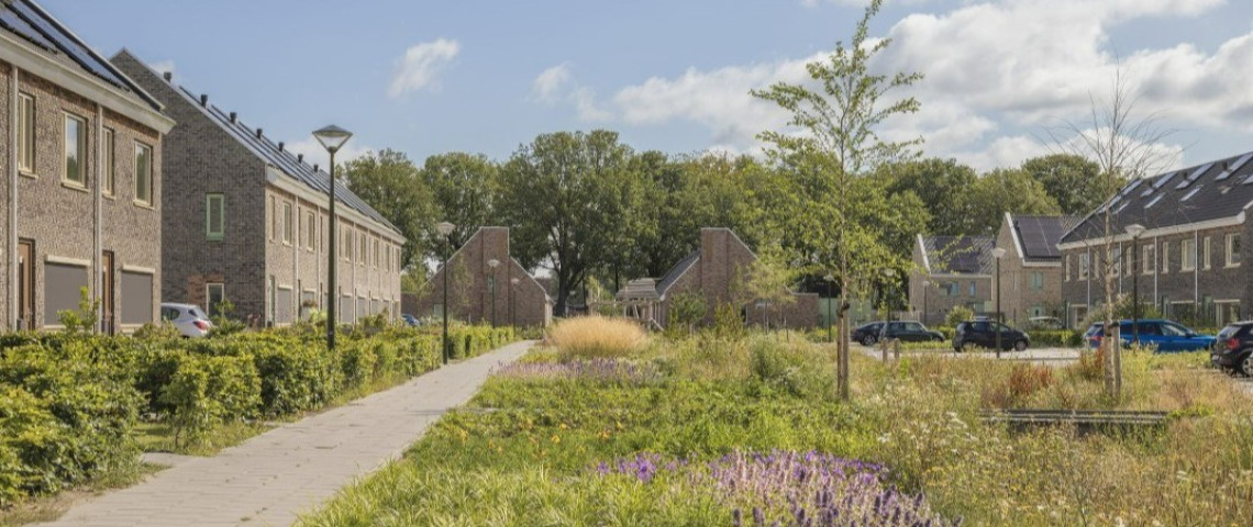 HAERENKWARTIER | OOSTERWOLDE