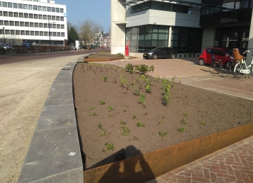 FLORIJNAS - STATIONSPLEIN | ASSEN
