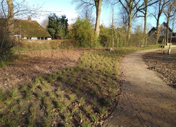 BEUKENLAAN, MOLENKAMPWEG, HOFWEG| HAVELTE