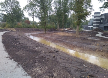 BEUKENLAAN, MOLENKAMPWEG, HOFWEG| HAVELTE