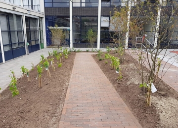 HANZEHOGESCHOOL | GRONINGEN