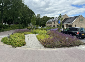 HAERENKWARTIER | OOSTERWOLDE