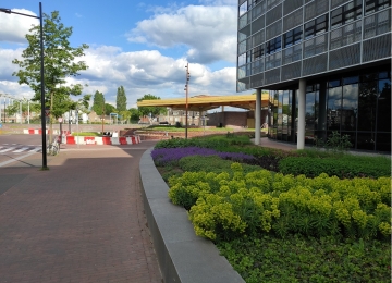 FLORIJNAS - STATIONSPLEIN | ASSEN