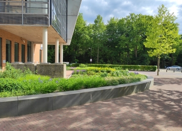 FLORIJNAS - STATIONSPLEIN | ASSEN
