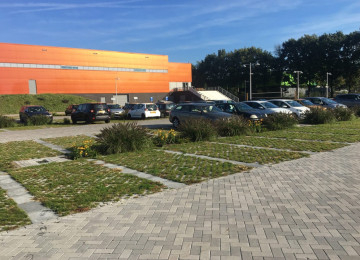 KENNISCAMPUS | EDE