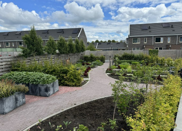 HAERENKWARTIER | OOSTERWOLDE