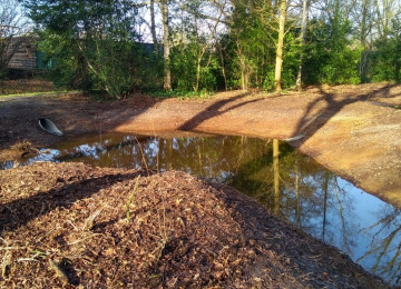 Herinrichting Havelter Schapendrift, Meidoornlaan en Schukkingpad | Havelte